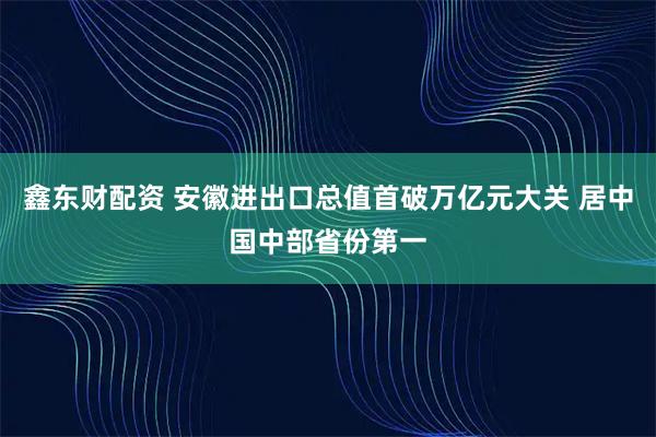 鑫东财配资 安徽进出口总值首破万亿元大关 居中国中部省份第一